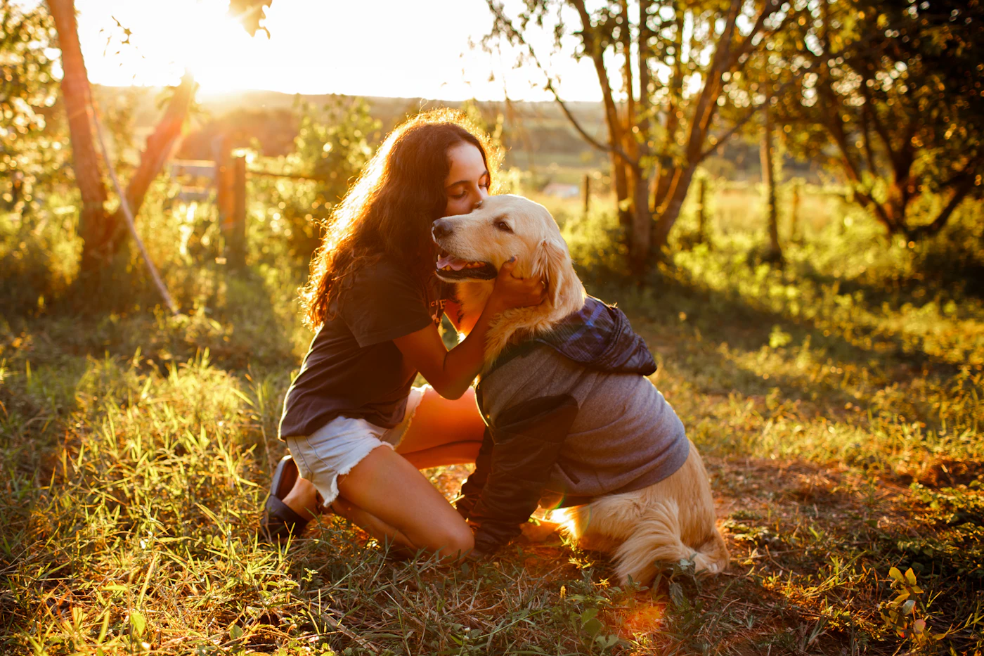 Editorial image for The Overlooked Details That Make Preparing For A Pet Sitter Work Better